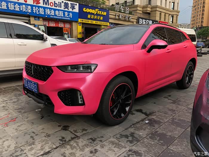 wey爱车装上轮毂防刮条,颜色惊喜.