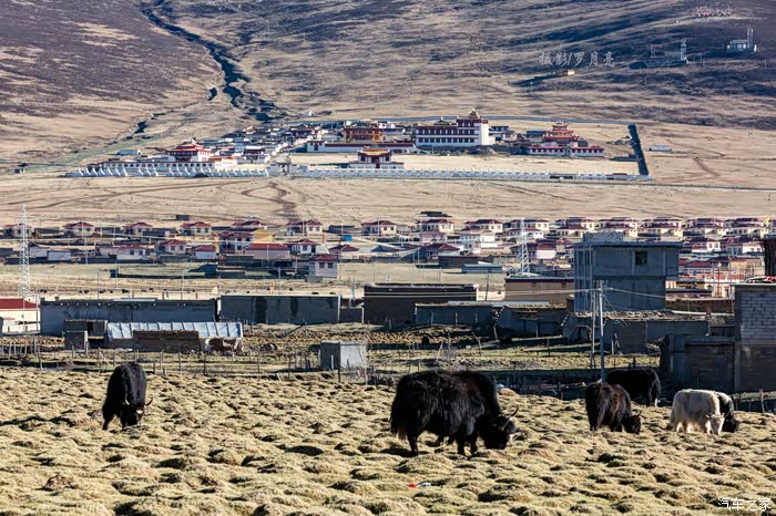 康朗伦查大乘菩提寺    于g318川藏南线雅江县红龙镇