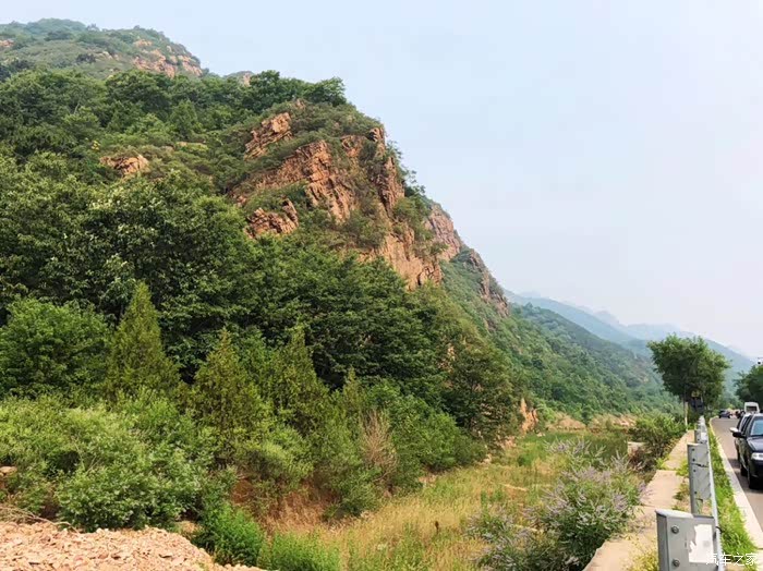 小狮子,我们一起去玩耍-北寨