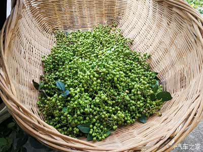 这东西闻起来臭,吃起来麻,做重口味的菜少不了它,20元一斤,我买了半斤