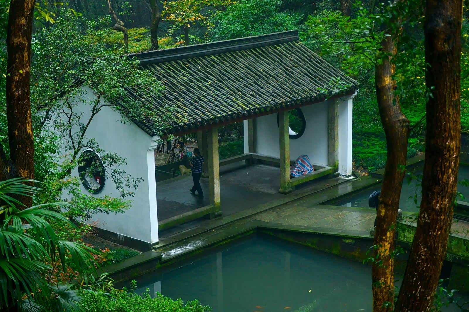 客舍青青柳色新.