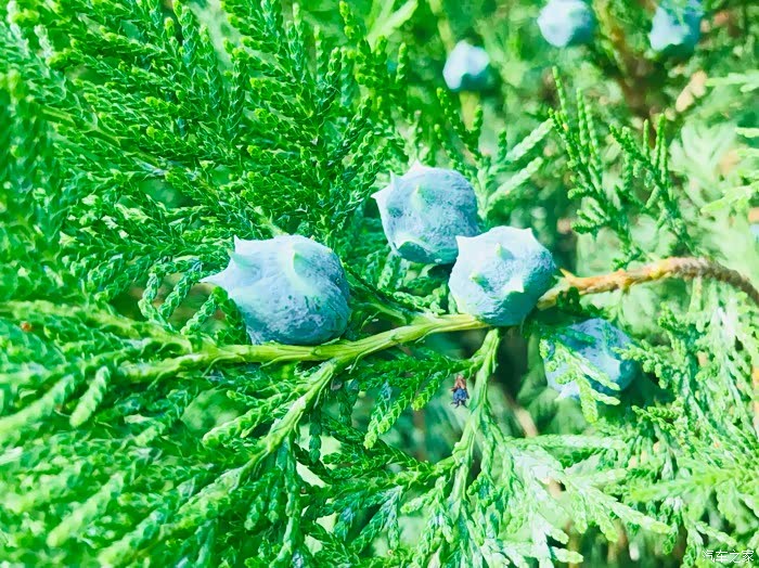 观小五甘肃行系列之—敦煌莫高窟寻历史