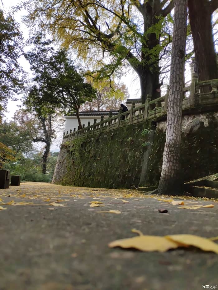 南岳福严寺半日游