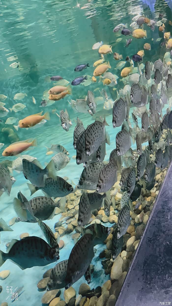 自驾游极地海洋世界