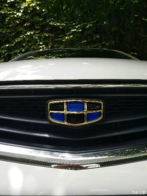 车标别致