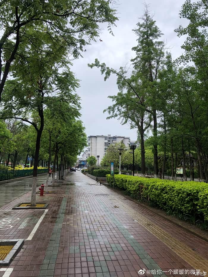 趁着天气微凉,出门看车去