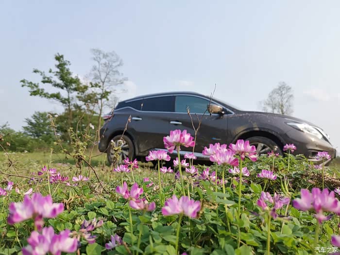 混动尊尚5000作业