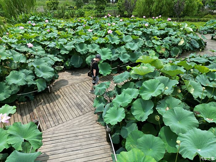 漕泾镇水库村图片