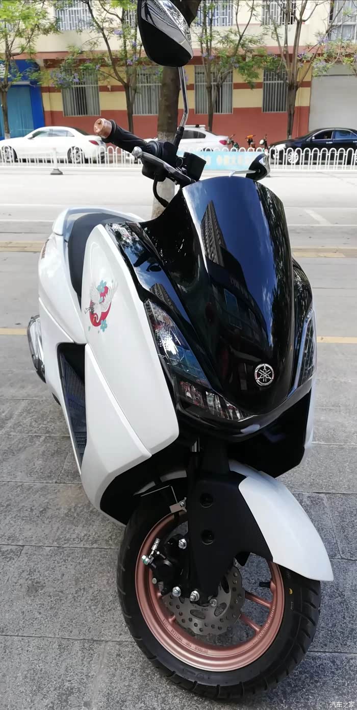 独爱气质的雅马哈胖头鱼半年使用感受