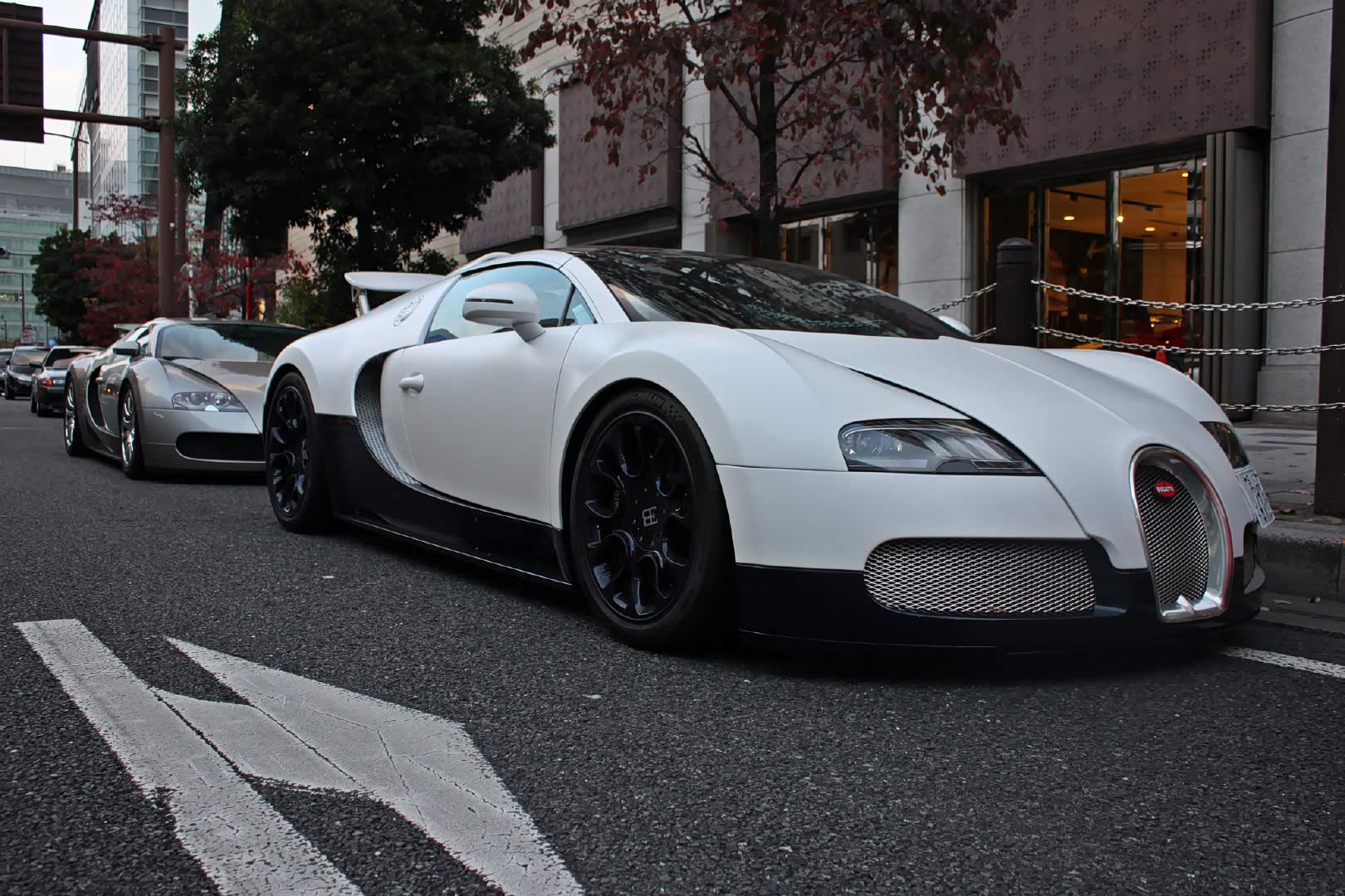 帅气可爱._布加迪论坛_汽车之家论坛