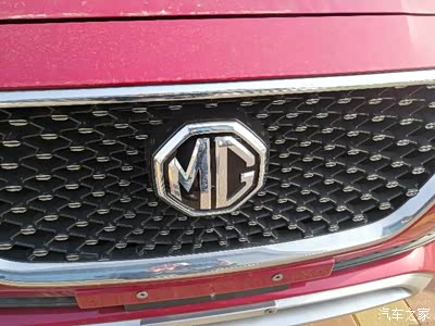 帅气的满天星前脸和车标.