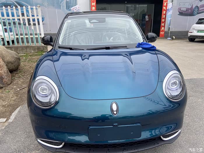 欧拉好猫绿黑色