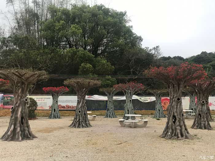 秋长花海影视基地游历