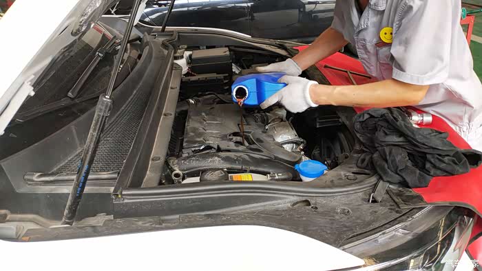 大半年了二保了