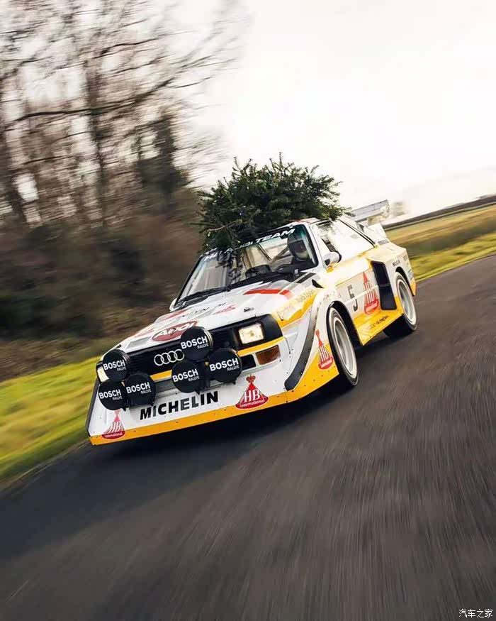 唯有quattros1能为您送上最新鲜的树