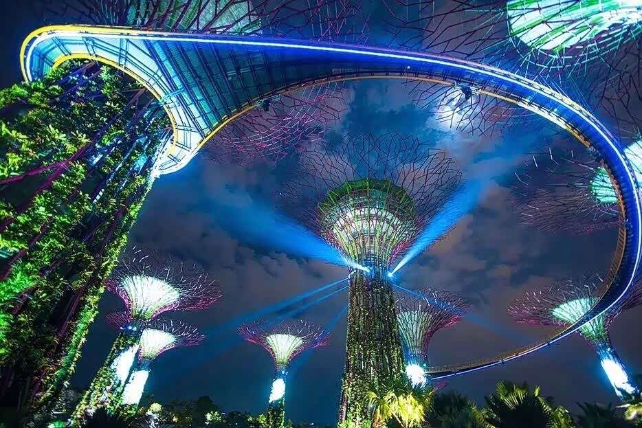 新加坡滨海花园的天空树,超美的!
