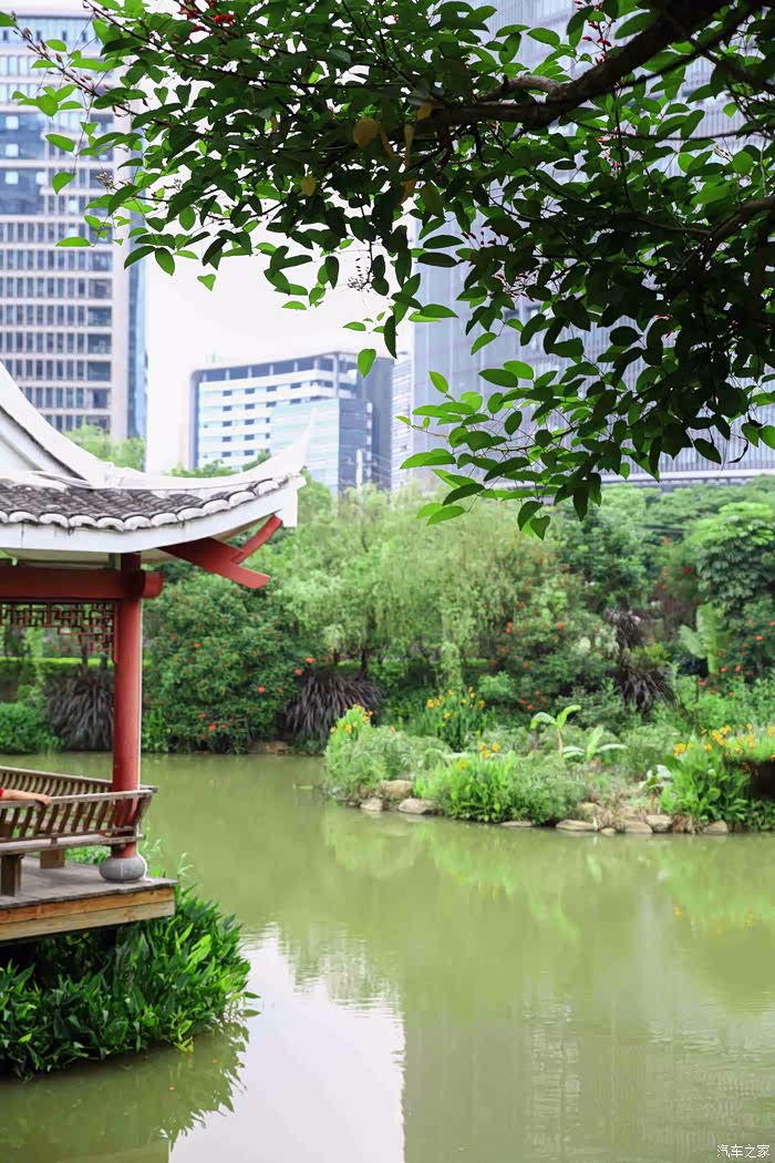 来来来,自驾去福建龙岩东山湿地公园