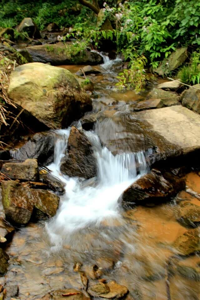 用相机来分享遇见的美丽 ,清澈见底的山泉