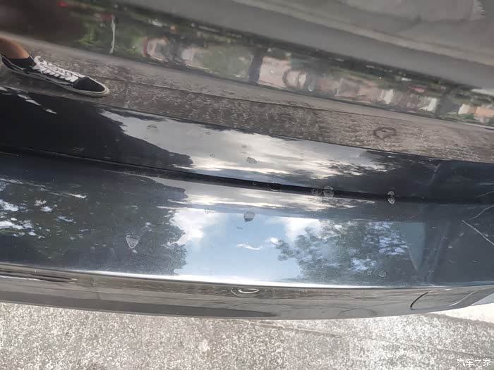 想请问一下各位大神车漆上的鸟屎印如何处理