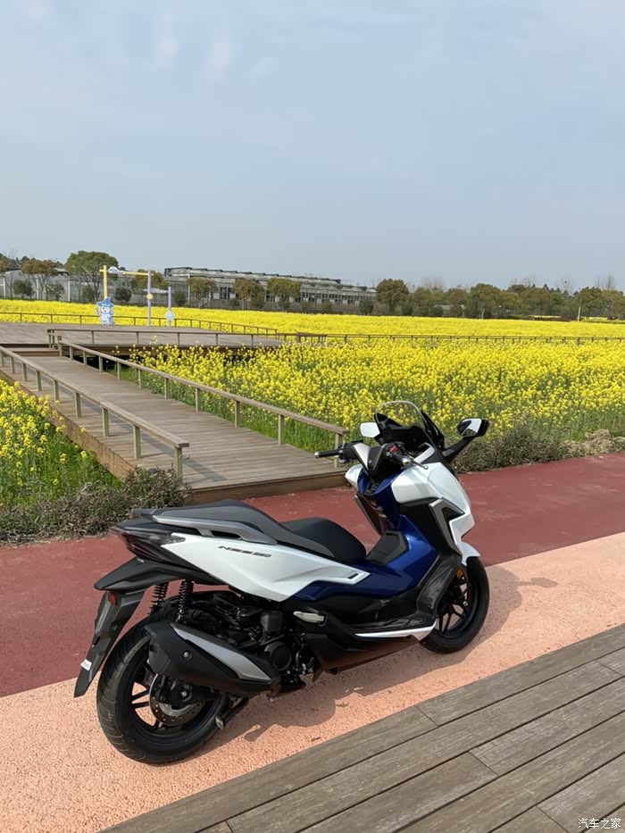 时隔两年又提摩托车本田佛沙350