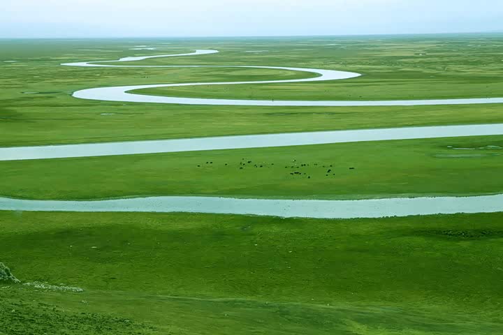 新疆草原风光,美丽广阔的天堂,草原小河,牧群的快乐