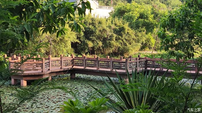 驾驶cs35plus游玩潮连公园