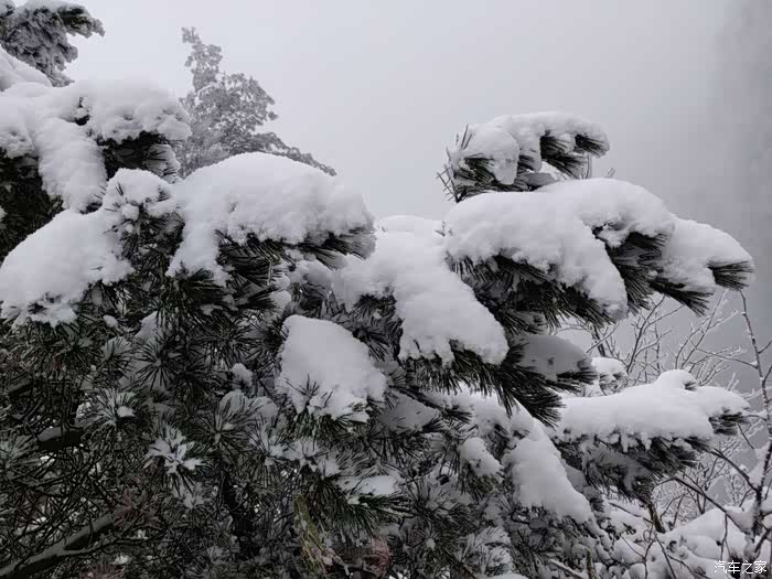 冬游记元旦赏雪银装素裹不虚此行