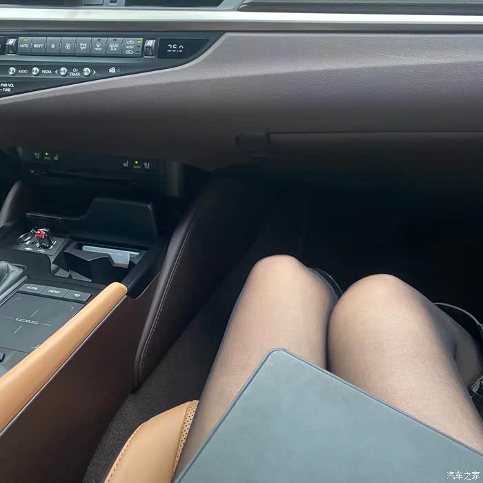 副驾无黑丝皆因你无揸雷克萨斯