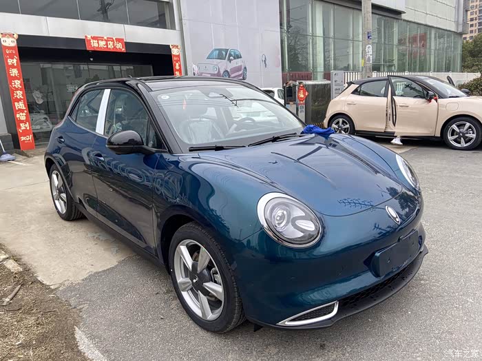 欧拉好猫绿黑色