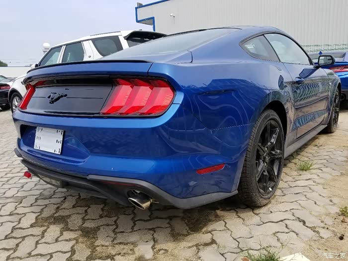 天津港福特野驴mustang看车记