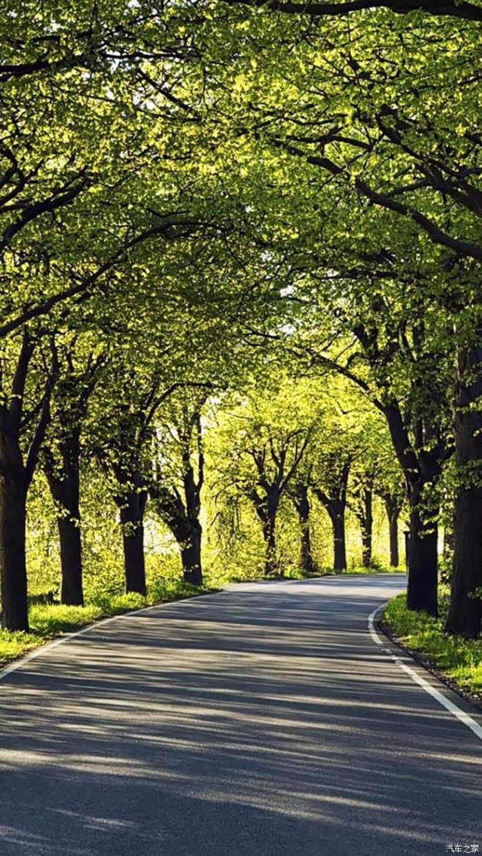 美丽的风景实拍