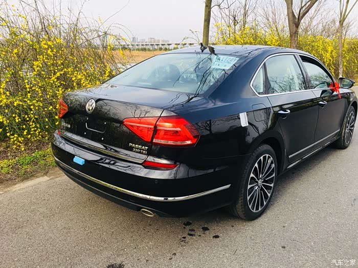 喜提18t帕萨特御尊版仅此纪念