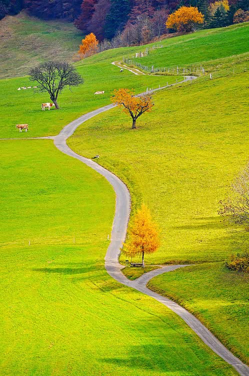 在人生这条路上,只有奋斗才能带给自己安全感.