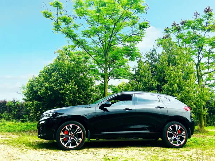 wey vv7论坛_汽车之家论坛