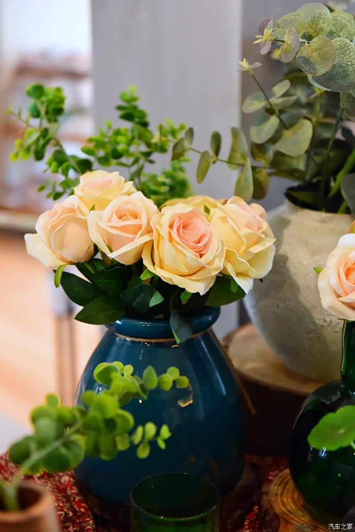 绿色世界花的海洋在十里芳菲宠爱自己的24小时