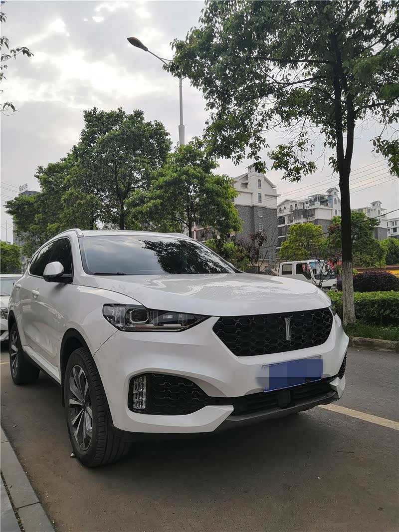 vv6的这款白色车漆,观感确实高大尚,只是不知道后期遇上补漆,会不会伤