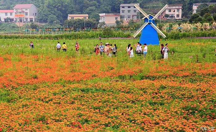 【株洲cs家族车友会】又见白关花海——万里