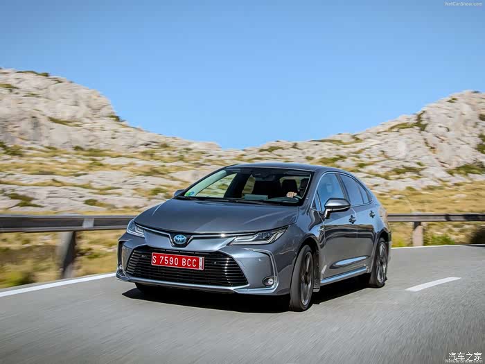 2019款全新卡罗拉高清图赏