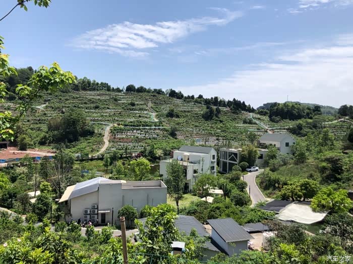 书山民宿图书馆_自驾游论坛_汽车之家论坛