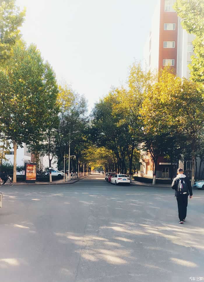 最美是秋季校园#带你看学校--道路篇