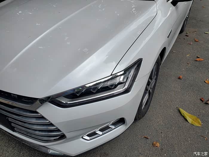 秦prodm雪域白还是好看的