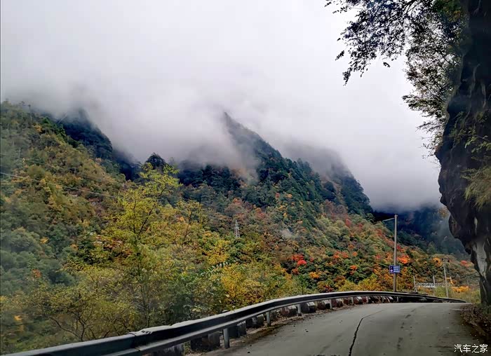 草科乡的红叶二