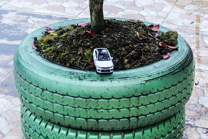 用轮胎做的花盆