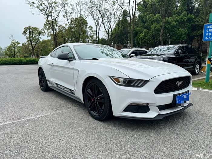 出售16年中归野马八万公里前嘴小瑕疵价格不高接受的来