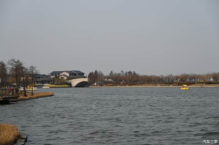 自驾游好去处国家级aaaa景区青岛胶州市少海湿地公园免门票