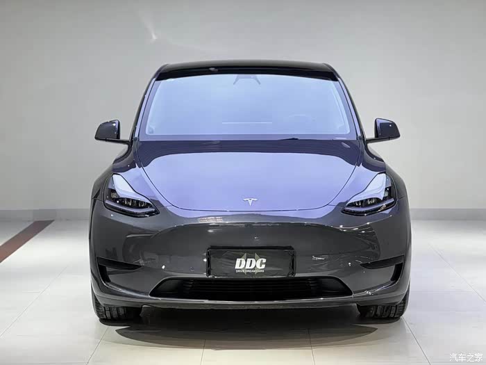 【图】出一台特斯拉毛豆y_model y论坛_汽车之家论坛