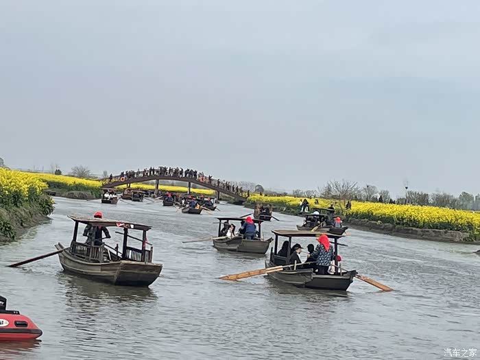 江苏兴化里下河"垛田"油菜花很有特色