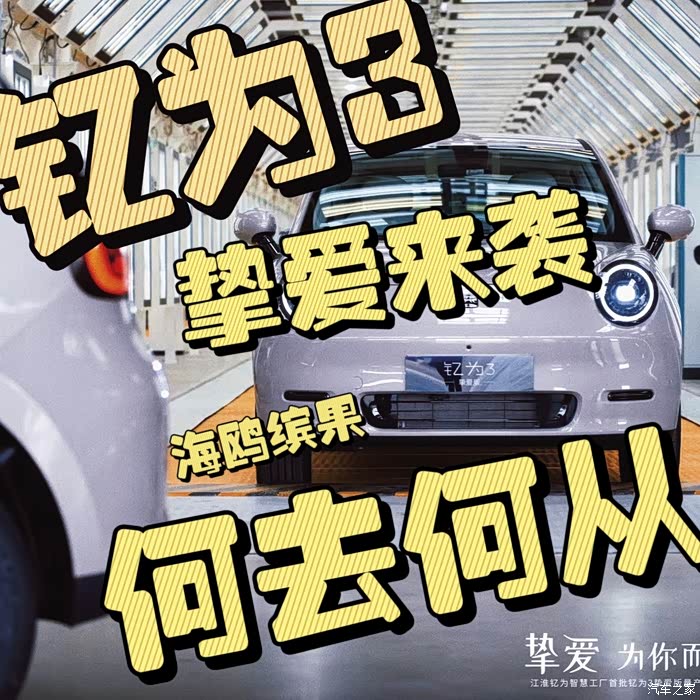 钇为3降维打击缤果海鸥何去何从