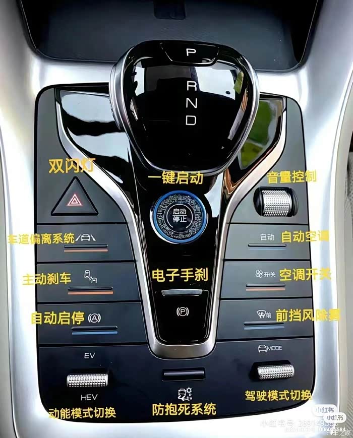 宋prodmi龙魂美学