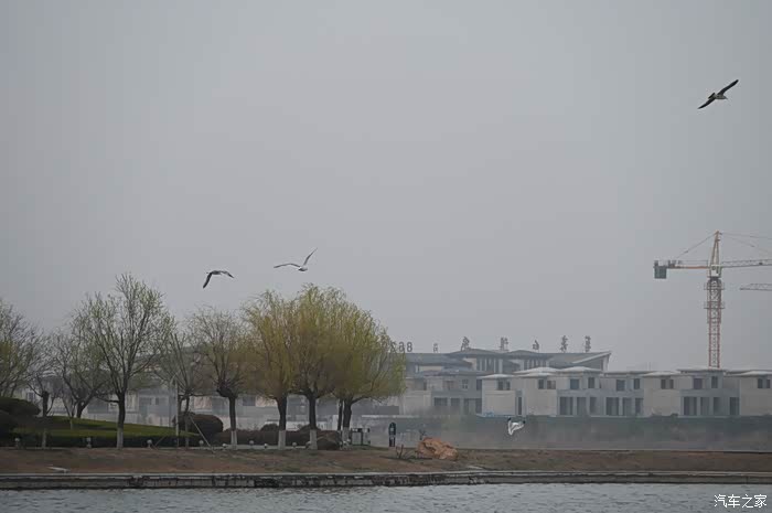 自驾游好去处国家级aaaa景区青岛胶州市少海湿地公园免门票